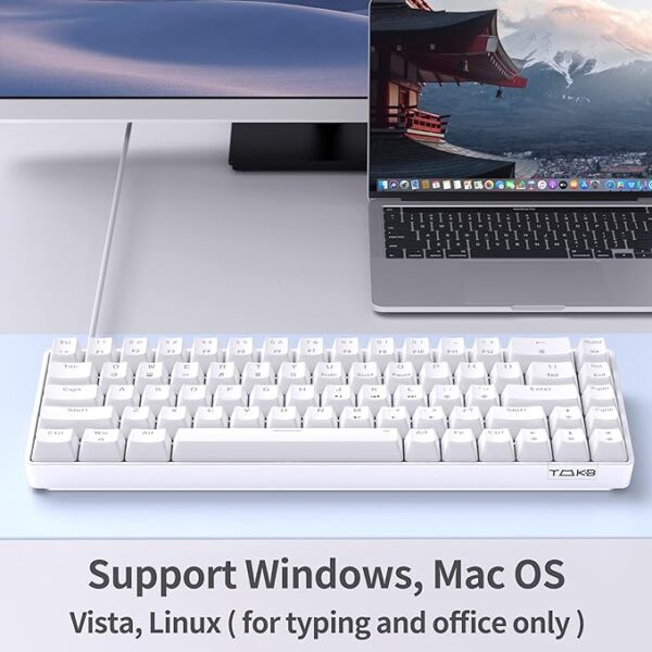 Dierya DK61se Mechanical Keyboard: LED Backlit, 61 Anti-Ghosting Keys, Ultra-Compact USB-C Gaming Mini Keyboard